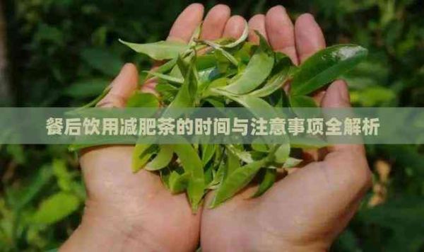 餐后飲用減肥茶的時間與注意事項全解析