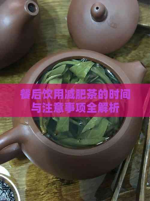 餐后飲用減肥茶的時間與注意事項全解析