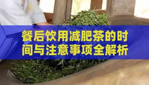餐后飲用減肥茶的時間與注意事項全解析