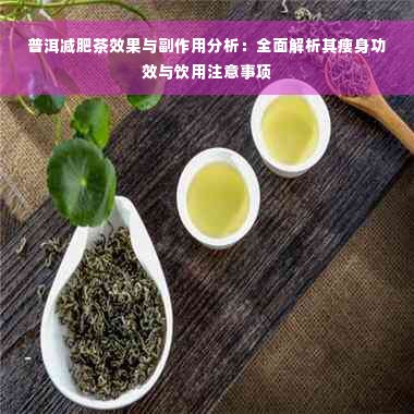普洱減肥茶效果與副作用分析：全面解析其瘦身功效與飲用注意事項(xiàng)