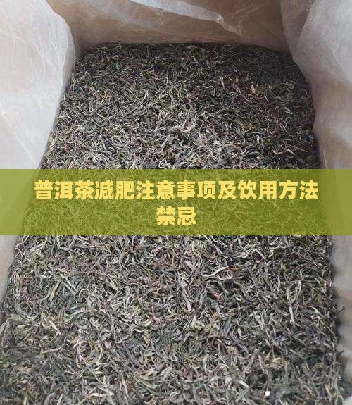 普洱茶減肥注意事項(xiàng)及飲用方法禁忌