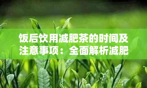 飯后飲用減肥茶的時間及注意事項：全面解析減肥茶飲用指南