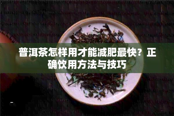 普洱茶怎樣用才能減肥最快？正確飲用方法與技巧
