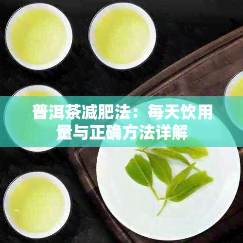 普洱茶減肥法：每天飲用量與正確方法詳解