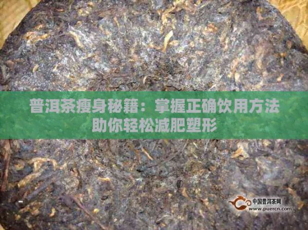 普洱茶瘦身秘籍：掌握正確飲用方法助你輕松減肥塑形