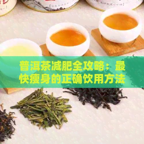 普洱茶減肥全攻略：最快瘦身的正確飲用方法與注意事項