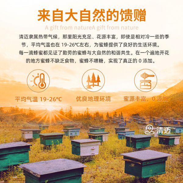 【蜂蜜11】蜂蜜什么時(shí)候喝效果最好最健康最有效:泰國(guó)進(jìn)口龍眼蜂蜜小包裝沖飲純正天然便攜獨(dú)立勺裝百花蜂蜜孕婦蜜4095