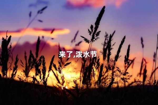 來了,潑水節(jié)