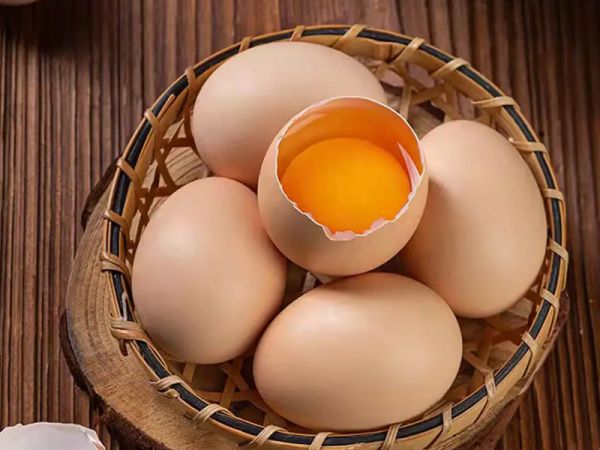 雞蛋蛋白質(zhì)含量相當(dāng)豐富