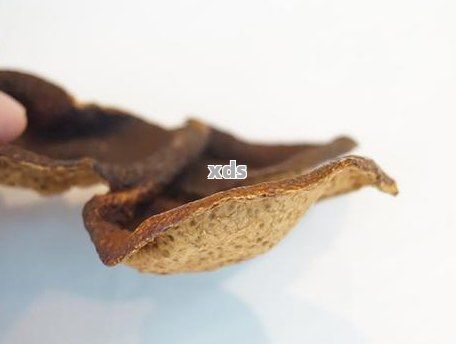 新普洱茶與水果的完美搭配：避免這些水果，讓普洱茶味道更上一層樓