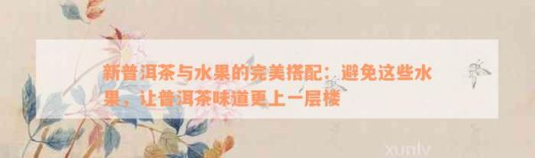新普洱茶與水果的完美搭配：避免這些水果，讓普洱茶味道更上一層樓
