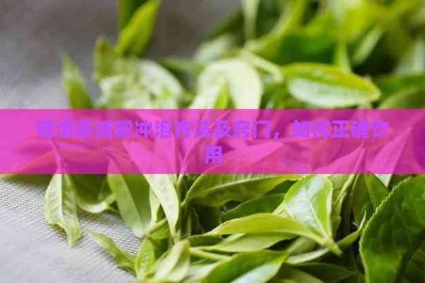 普洱茶減肥沖泡方法及竅門，如何正確飲用