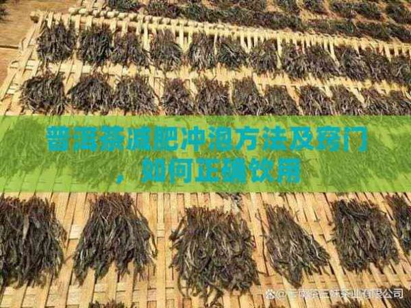 普洱茶減肥沖泡方法及竅門，如何正確飲用