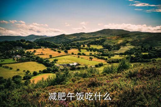 減肥午飯吃什么