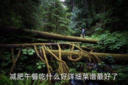減肥午餐吃什么好詳細(xì)菜譜最好了