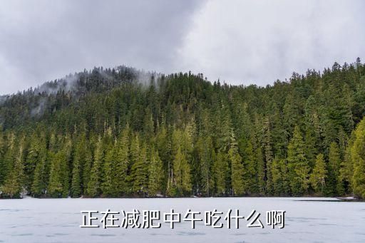 正在減肥中午吃什么啊