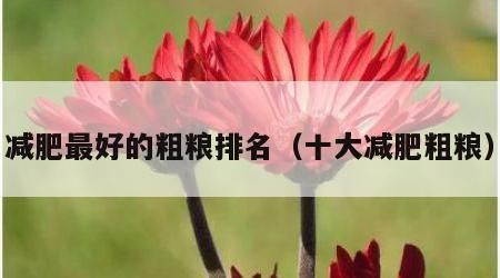 減肥最好的粗糧排名（十大減肥粗糧）