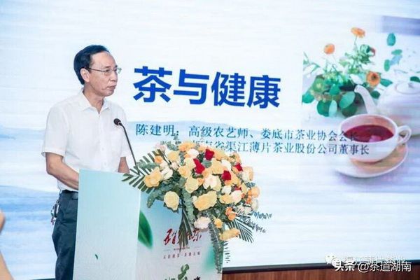 碧生源減肥茶有效減肥還是市場營銷噱頭