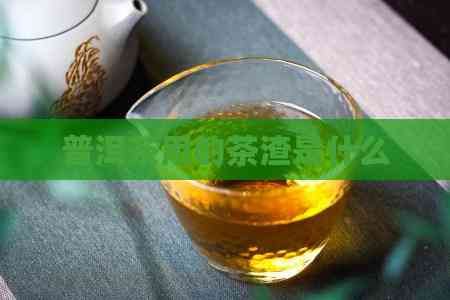 普洱茶用的茶渣是什么