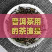 普洱茶用的茶渣是什么