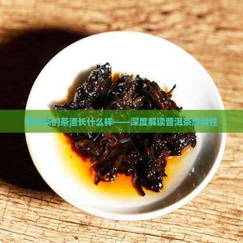 普洱茶的茶渣長什么樣——深度解讀普洱茶渣特性