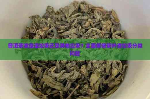 普洱茶渣是濕垃圾還是其他垃圾？全面解答茶葉渣垃圾分類問題