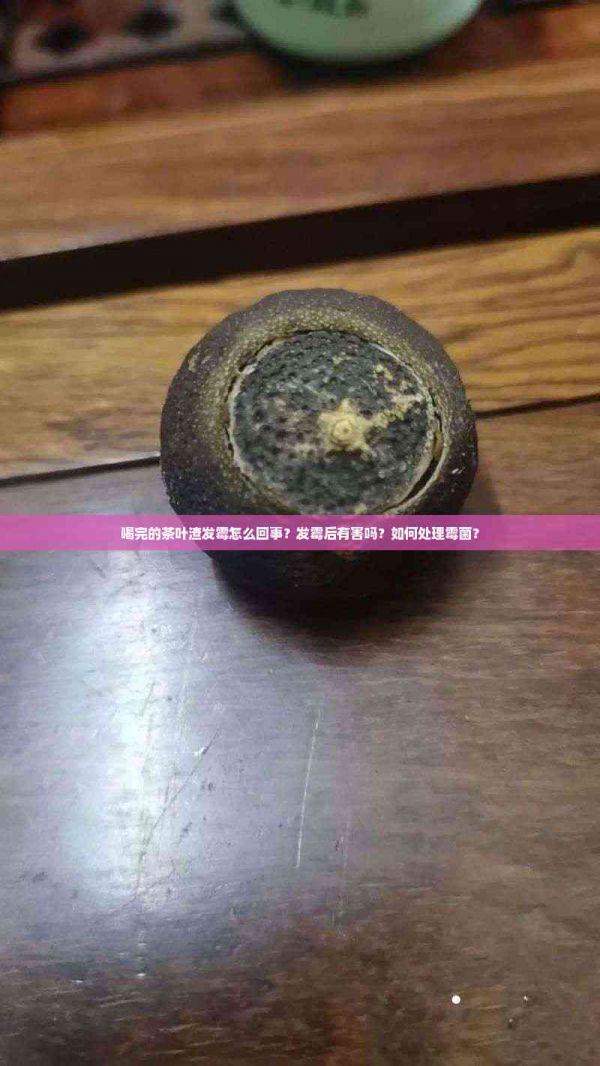 喝完的茶葉渣發(fā)霉怎么回事？發(fā)霉后有害嗎？如何處理霉菌？