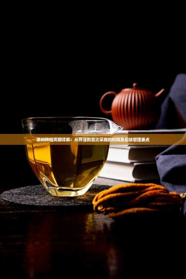 茶樹種植周期詳解：從存活到首次采摘的時間及后續(xù)管理要點