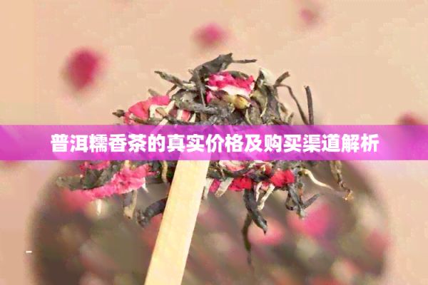普洱糯香茶的真實(shí)價(jià)格及購(gòu)買渠道解析