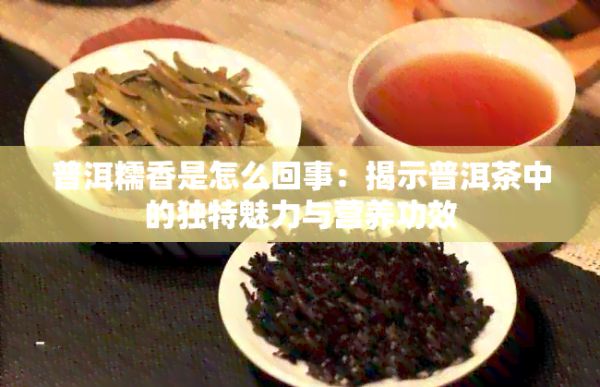普洱糯香是怎么回事：揭示普洱茶中的獨(dú)特魅力與營(yíng)養(yǎng)功效