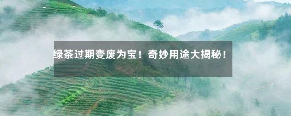 綠茶過期變廢為寶！奇妙用途大揭秘！-第1張-綠茶-鳳凰單叢茶網(wǎng)