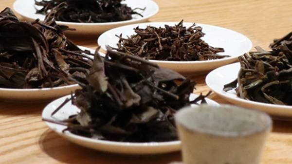 陳茶葉能用來做什么