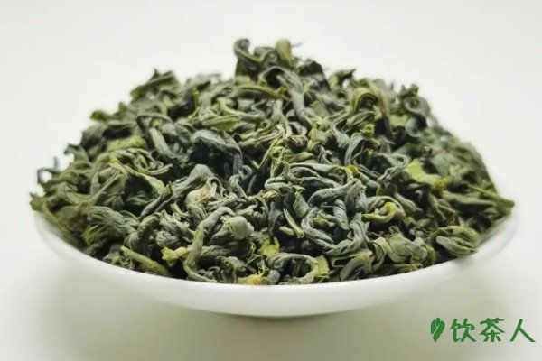 香茶屬于什么茶，香茶屬于綠茶嗎(多指優(yōu)質(zhì)綠茶)