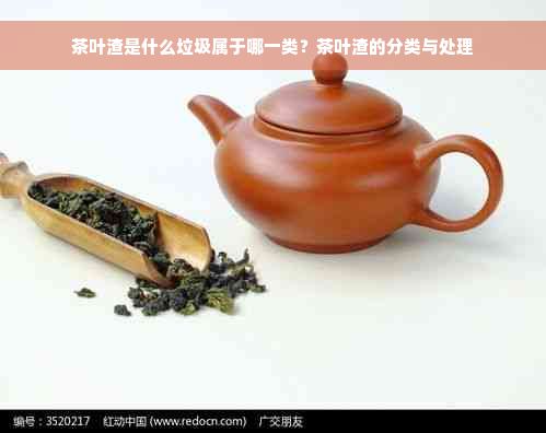 茶葉渣是什么垃圾屬于哪一類？茶葉渣的分類與處理