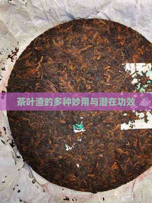 茶叶渣的多种妙用与潜在功效