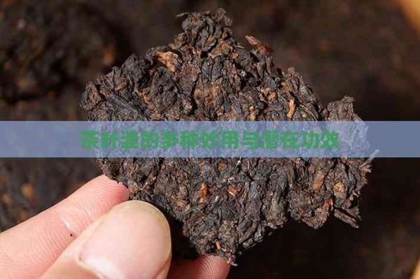 茶叶渣的多种妙用与潜在功效