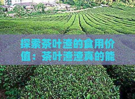 探索茶葉渣的食用價(jià)值：茶葉渣渣真的能吃嗎？