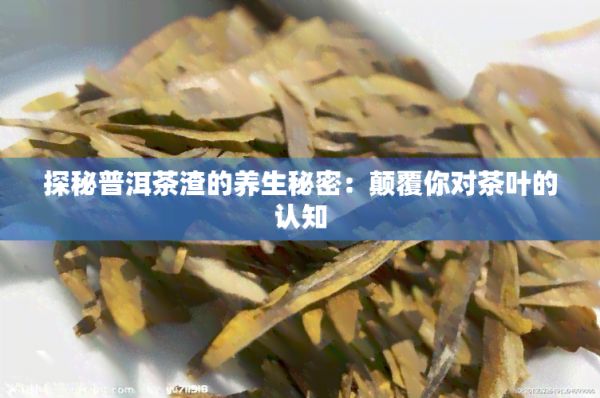 探秘普洱茶渣的養(yǎng)生秘密：顛覆你對茶葉的認(rèn)知