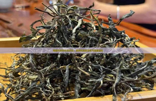喝茶葉的好處和壞處：綠茶的減肥功效與健康益處