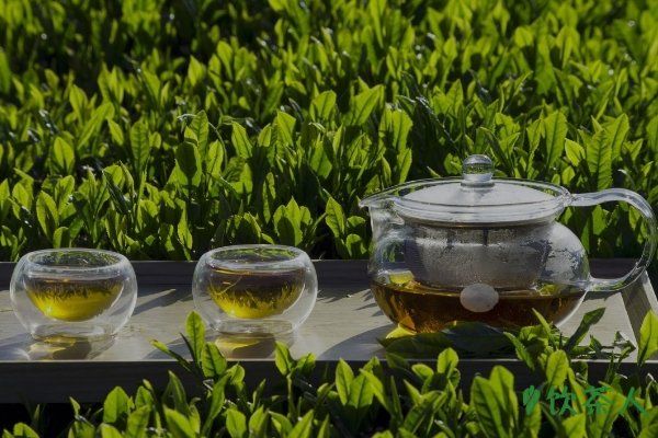 綠茶的功效和作用，提神醒腦/降三高(長(zhǎng)期飲用綠茶的五大好處)