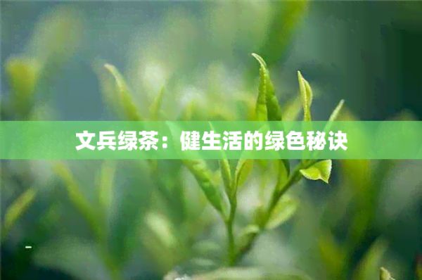 文兵綠茶：健生活的綠色秘訣