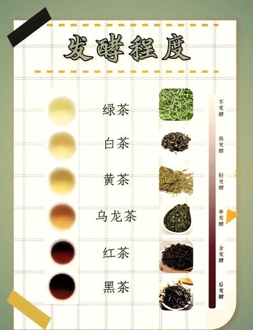 大眉綠茶的茶文化知識