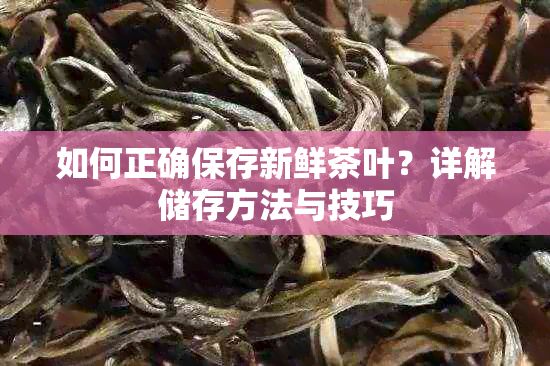 如何正確保存新鮮茶葉？詳解儲(chǔ)存方法與技巧