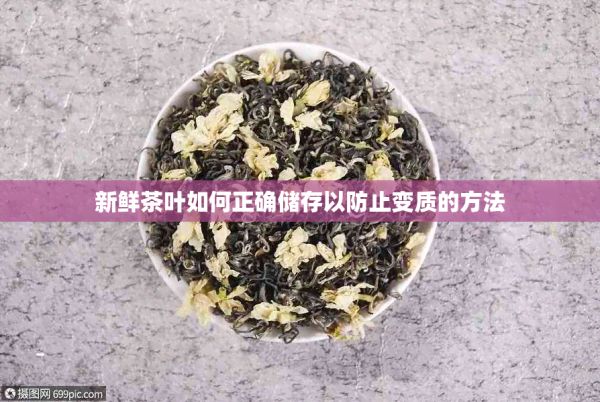 新鮮茶葉如何正確儲(chǔ)存以防止變質(zhì)的方法