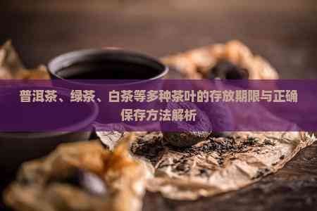 普洱茶、綠茶、白茶等多種茶葉的存放期限與正確保存方法解析