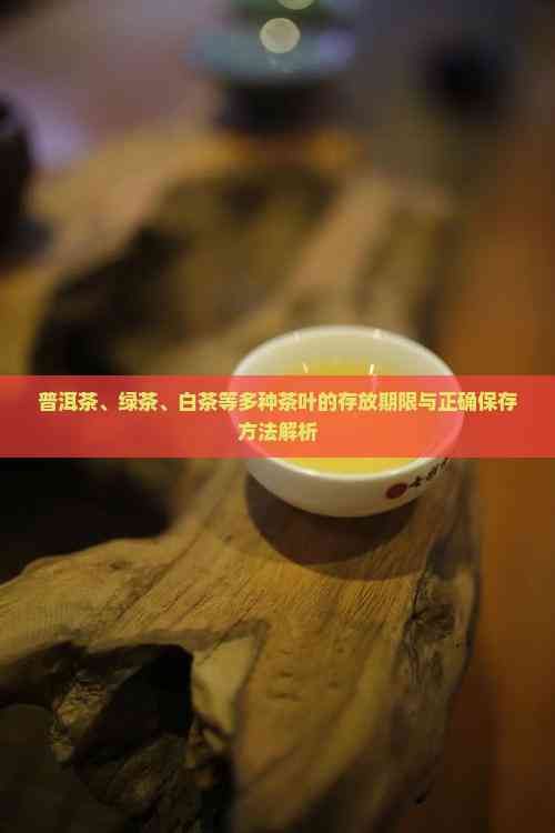 普洱茶、綠茶、白茶等多種茶葉的存放期限與正確保存方法解析