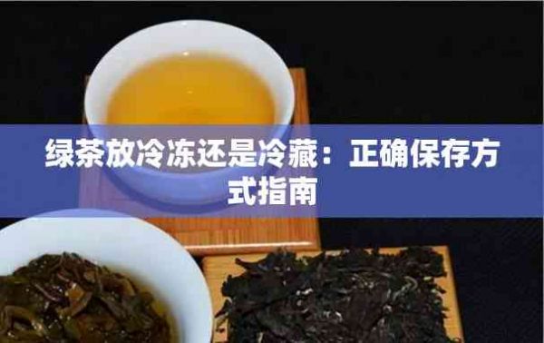 綠茶放冷凍還是冷藏：正確保存方式指南
