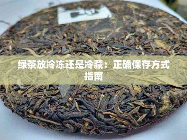 綠茶放冷凍還是冷藏：正確保存方式指南