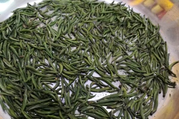 綠茶的最佳儲存方法，最好放入冰箱冷藏保存