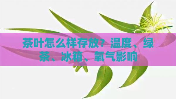 茶叶怎么样存放？温度、绿茶、冰箱、氧气影响